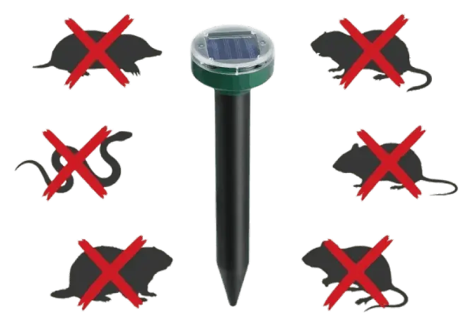 Buy Now Vermix Pulse Pro